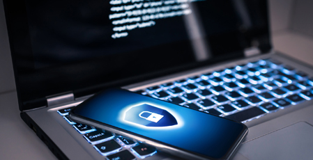 Buyer's protection warranties 